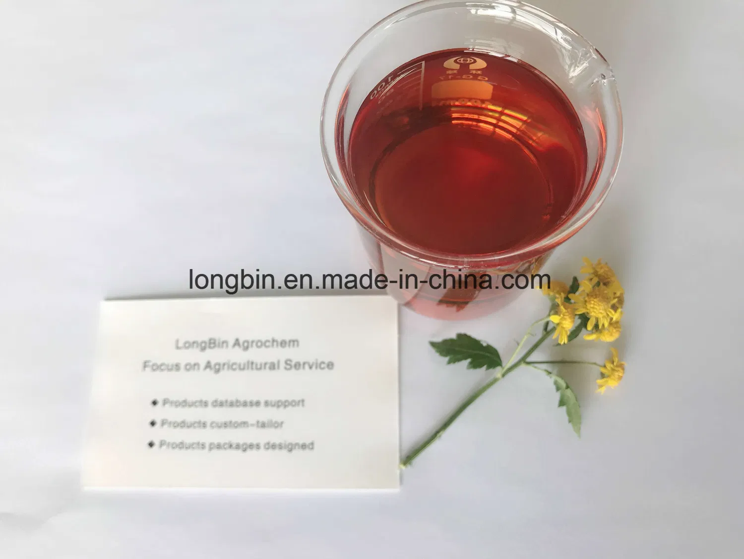 Analogues d'auxine 2 4