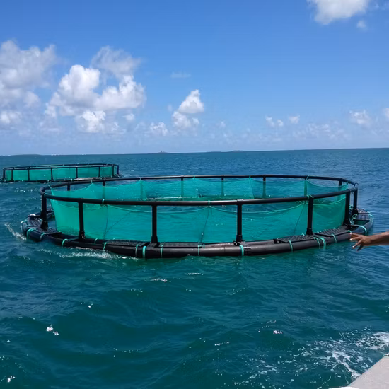 Cage flottante de filet de pisciculture d'aquaculture